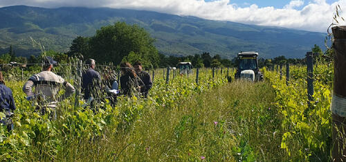 Agriculture et défis climatiques