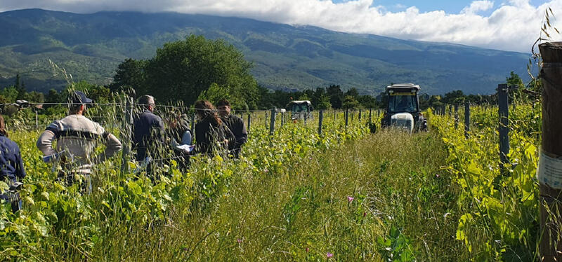Agriculture et défis climatiques