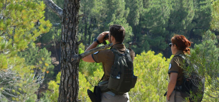 Accès massifs forestiers interdit
