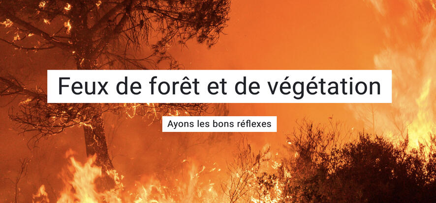 Prévention Feux de forêt et de végétation, soyons prudents...